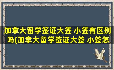 加拿大留学签证大签 小签有区别吗(加拿大留学签证大签 小签怎么办理)